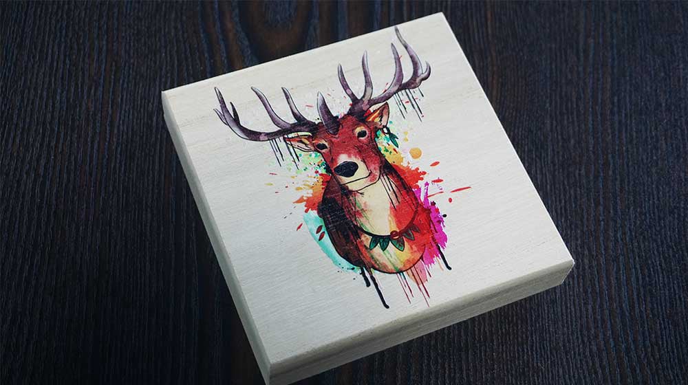 sklejka-1000x560